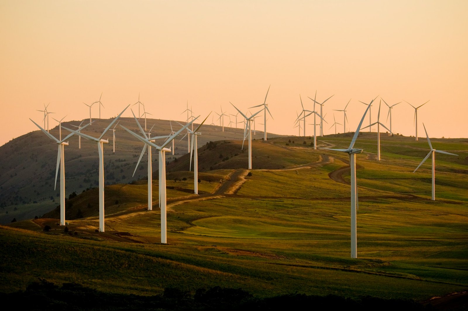 Parque eólico al atardecer, parte de una estrategia de energía renovable industrial