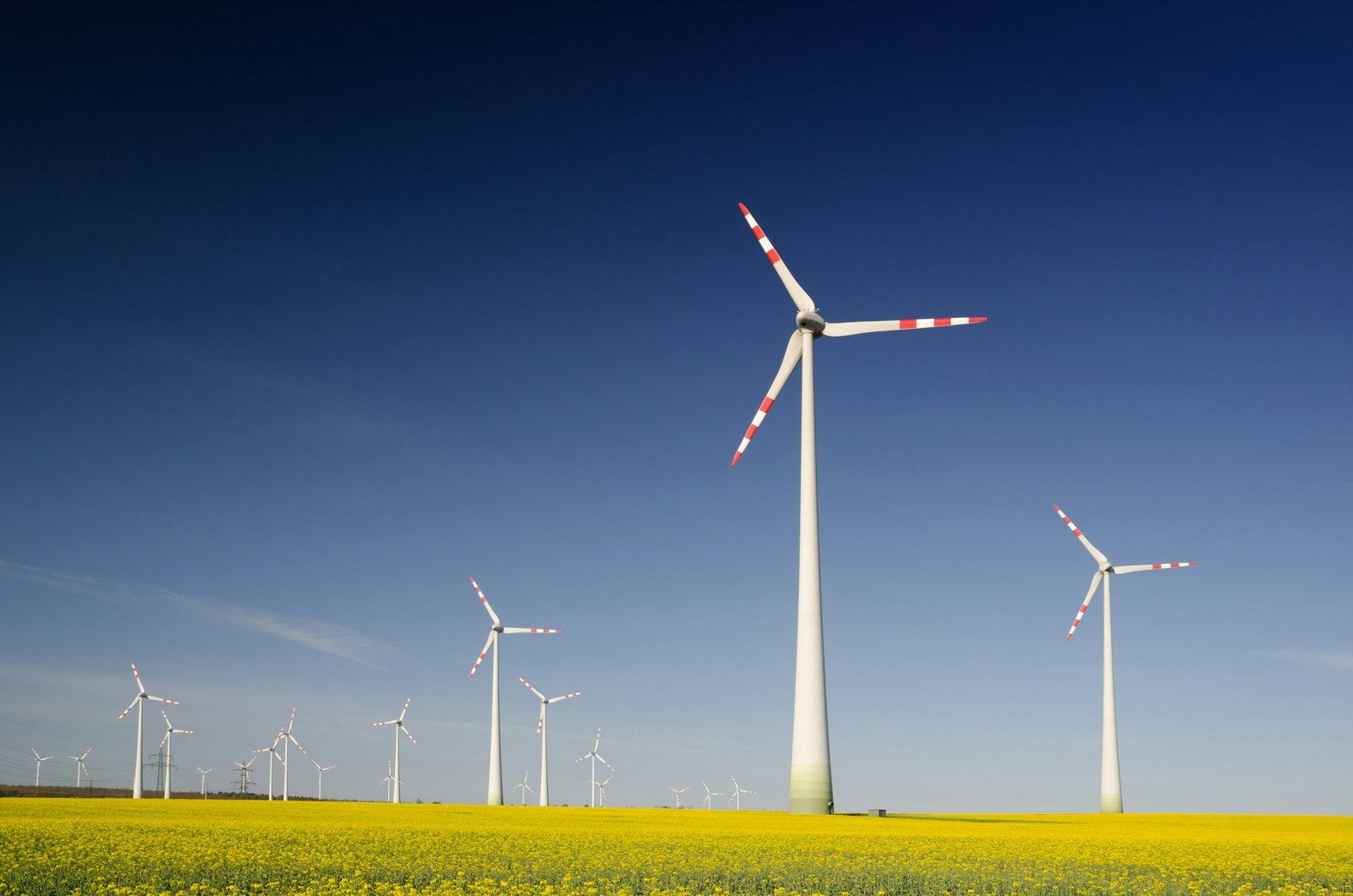 Turbinas eólicas en campo agrícola bajo cielo azul