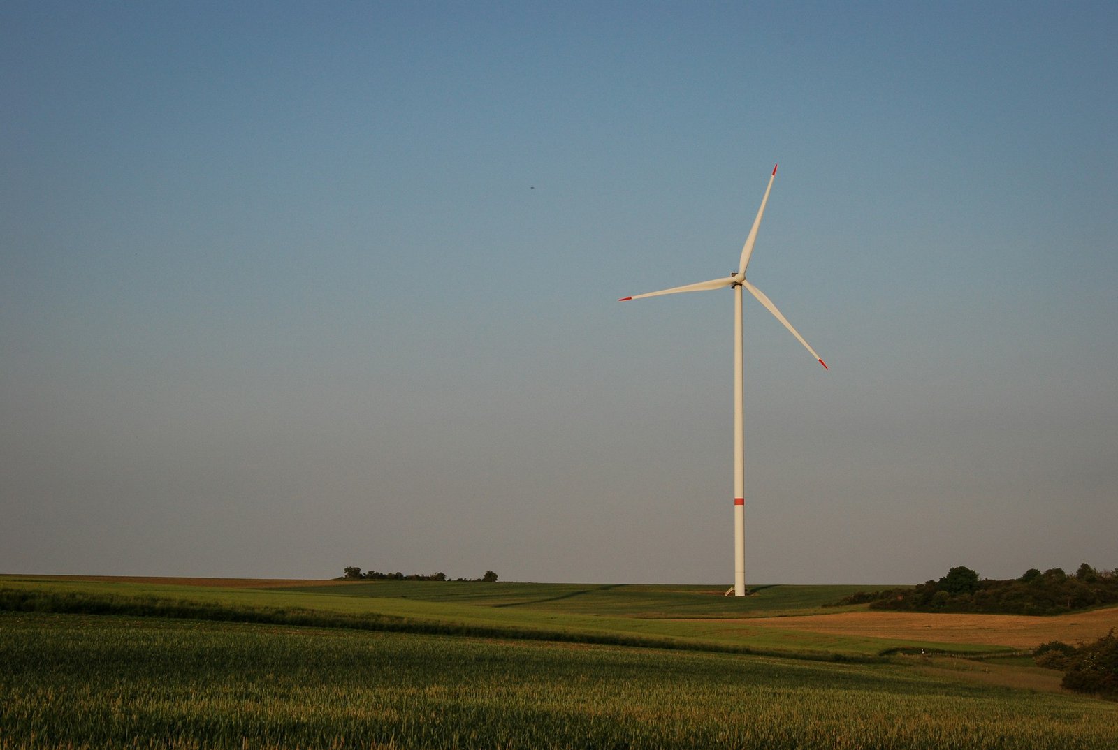 Turbina eólica solitaria en campo agrícola al atardecer